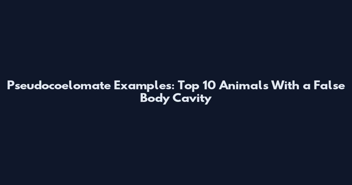 Pseudocoelomate Examples: Top 10 Animals With a False Body Cavity