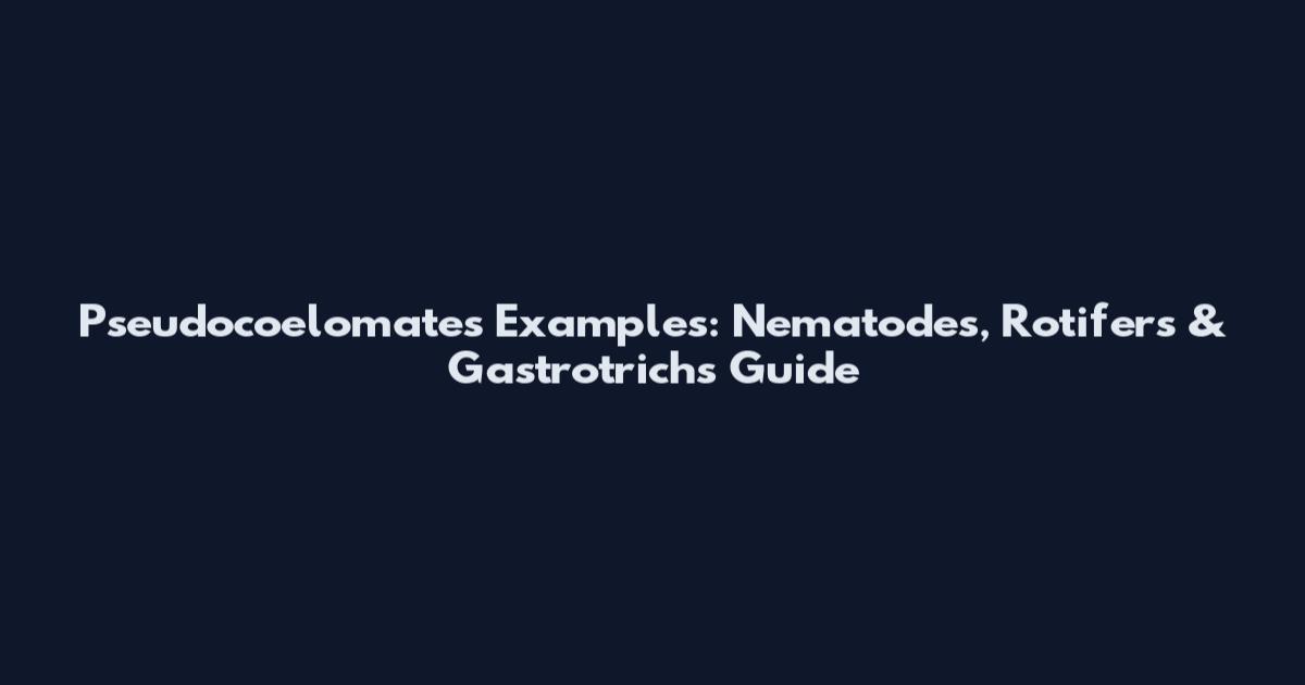 Pseudocoelomates Examples: Nematodes, Rotifers & Gastrotrichs Guide