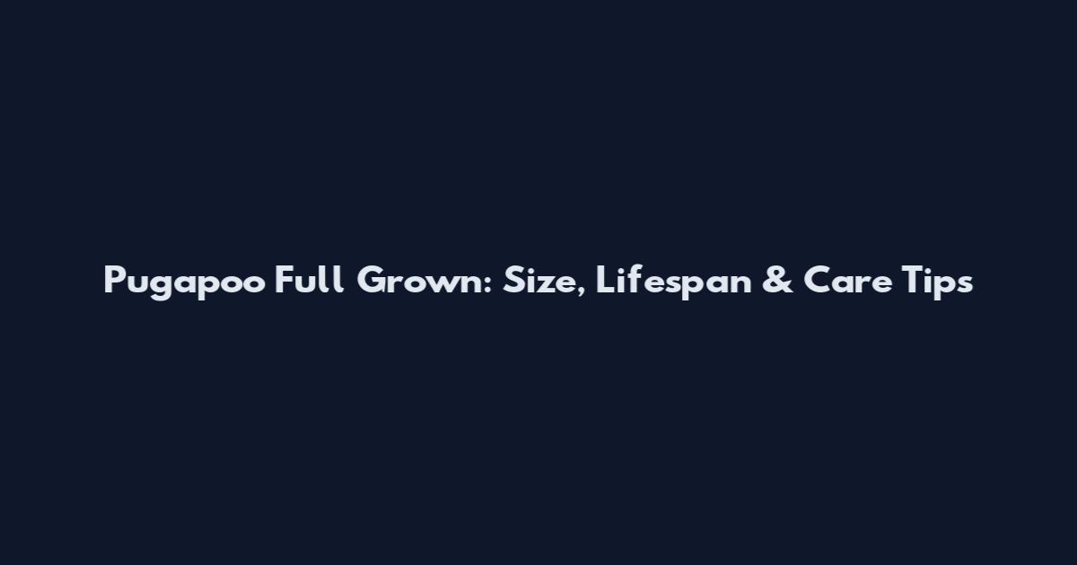 Pugapoo Full Grown: Size, Lifespan & Care Tips