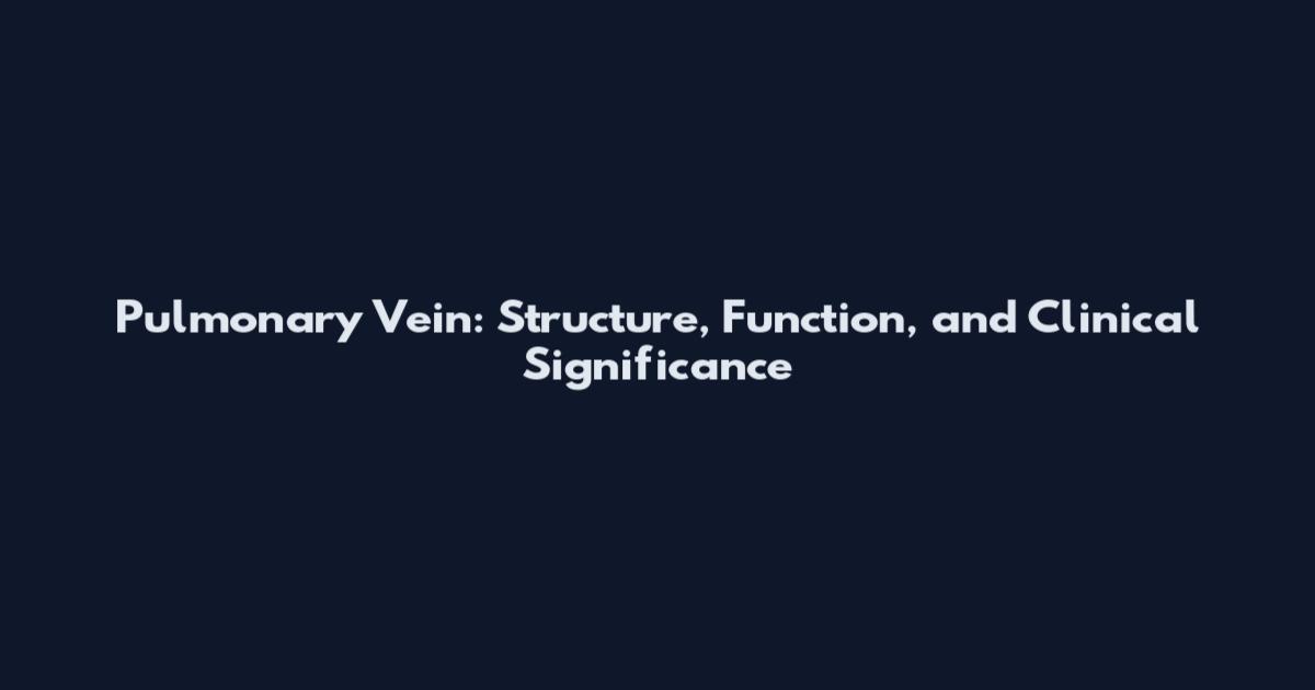 Pulmonary Vein: Structure, Function, and Clinical Significance