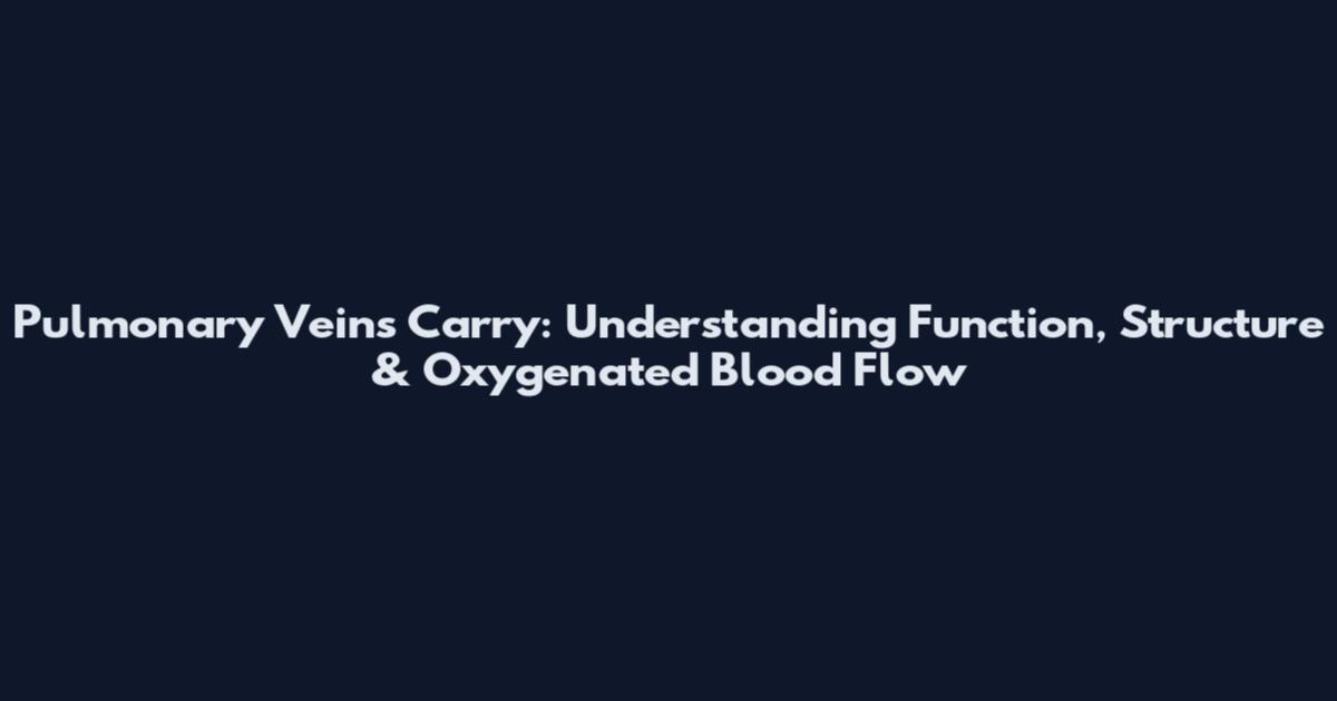 Pulmonary Veins Carry: Understanding Function, Structure & Oxygenated Blood Flow