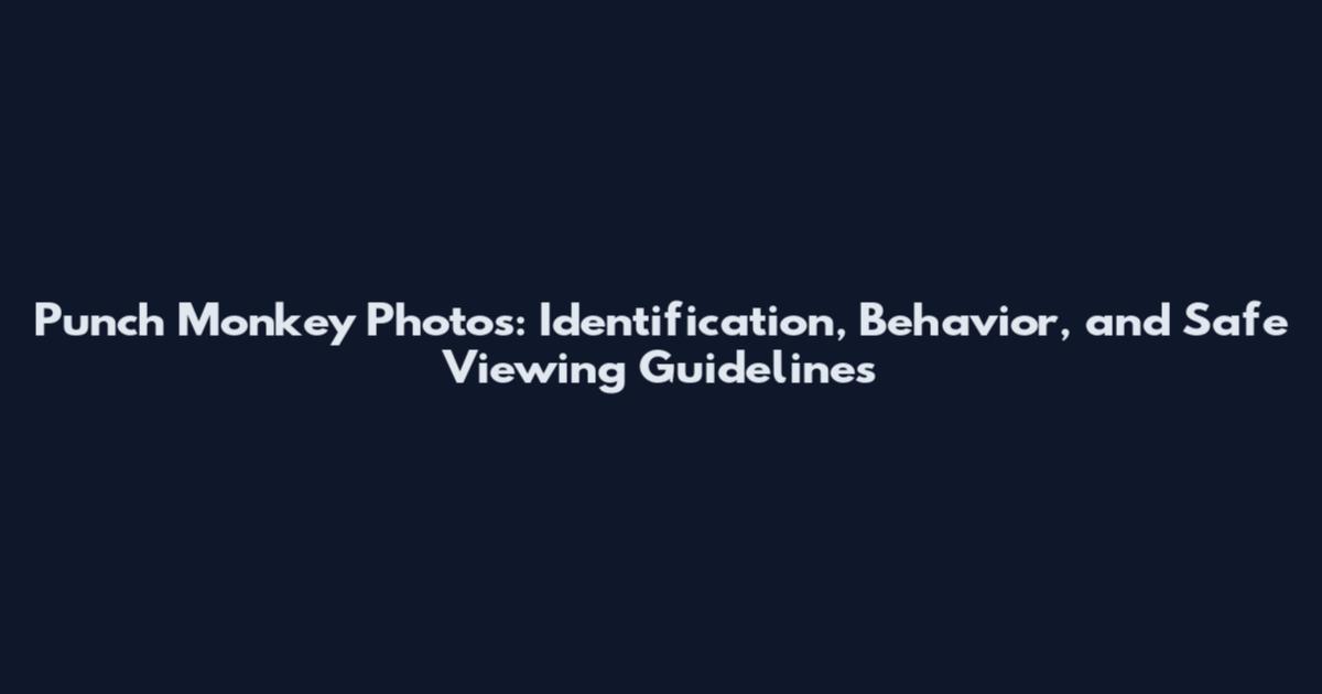 Punch Monkey Photos: Identification, Behavior, and Safe Viewing Guidelines