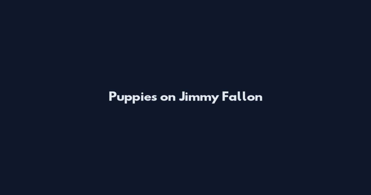 Puppies on Jimmy Fallon