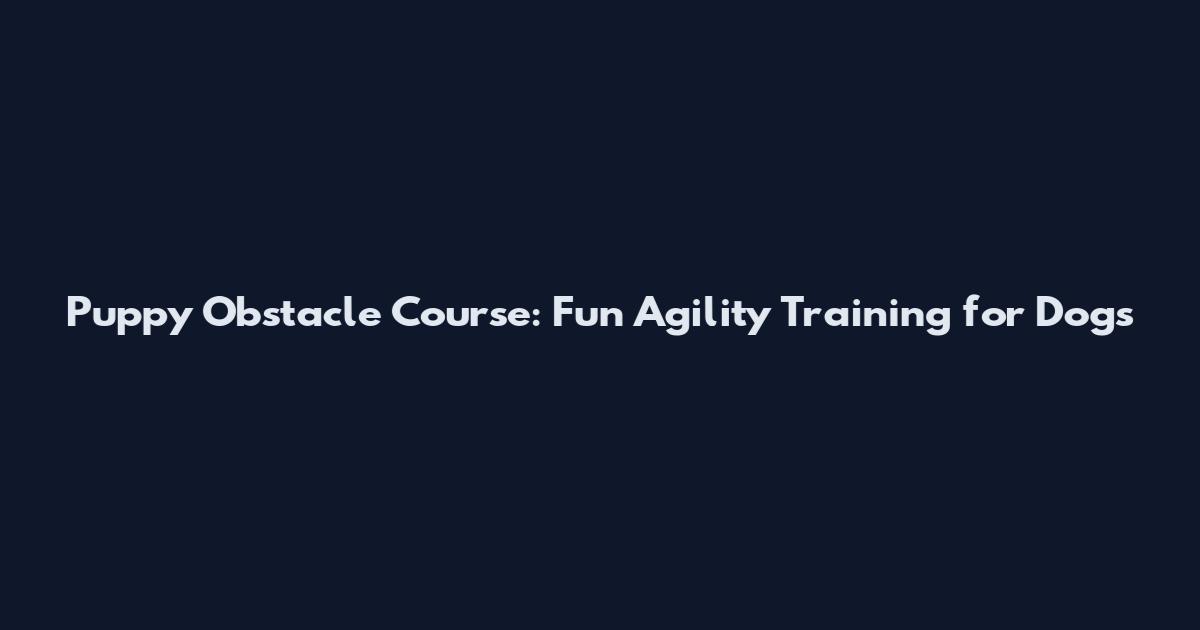 Puppy Obstacle Course: Fun Agility Training for Dogs