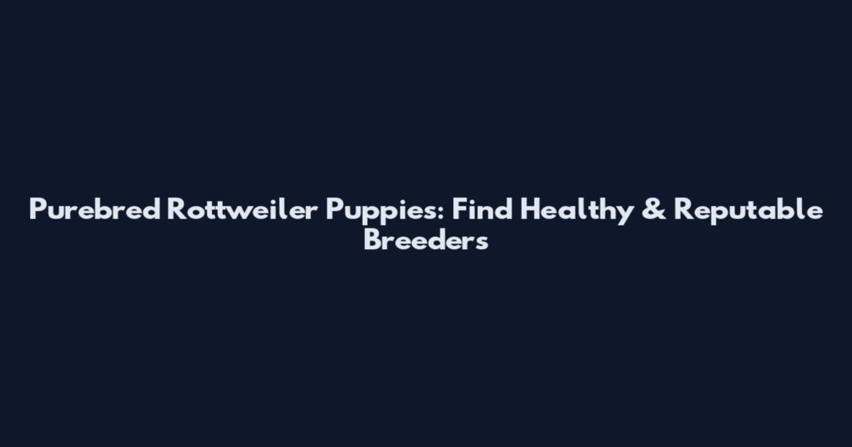 Purebred Rottweiler Puppies: Find Healthy & Reputable Breeders