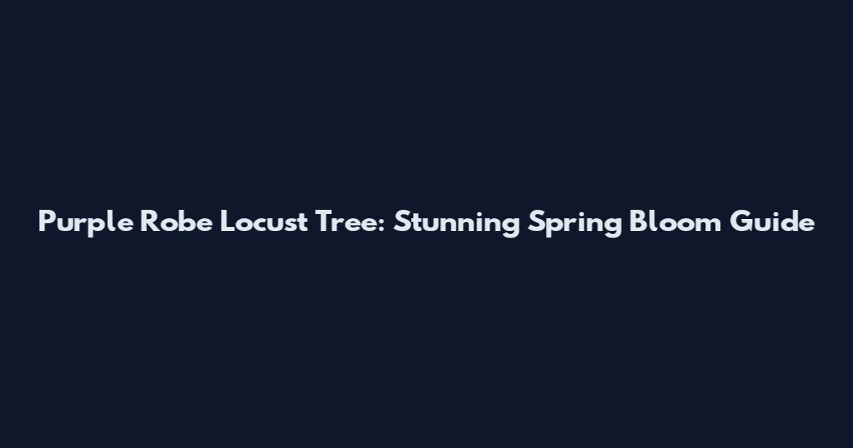 Purple Robe Locust Tree: Stunning Spring Bloom Guide