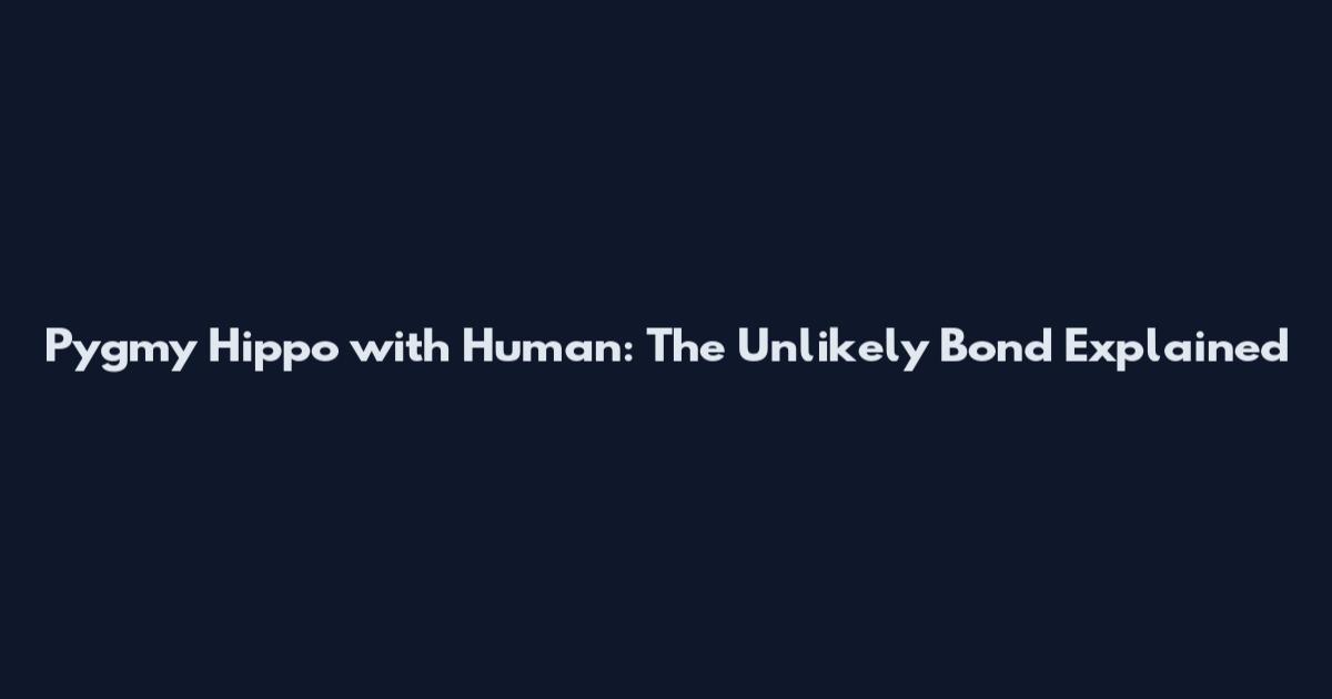 Pygmy Hippo with Human: The Unlikely Bond Explained