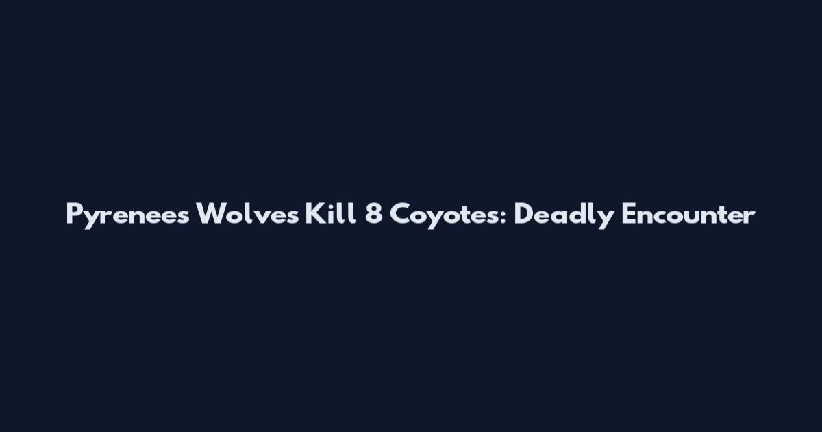 Pyrenees Wolves Kill 8 Coyotes: Deadly Encounter