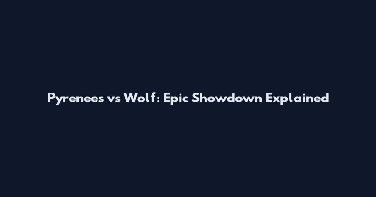 Pyrenees vs Wolf: Epic Showdown Explained