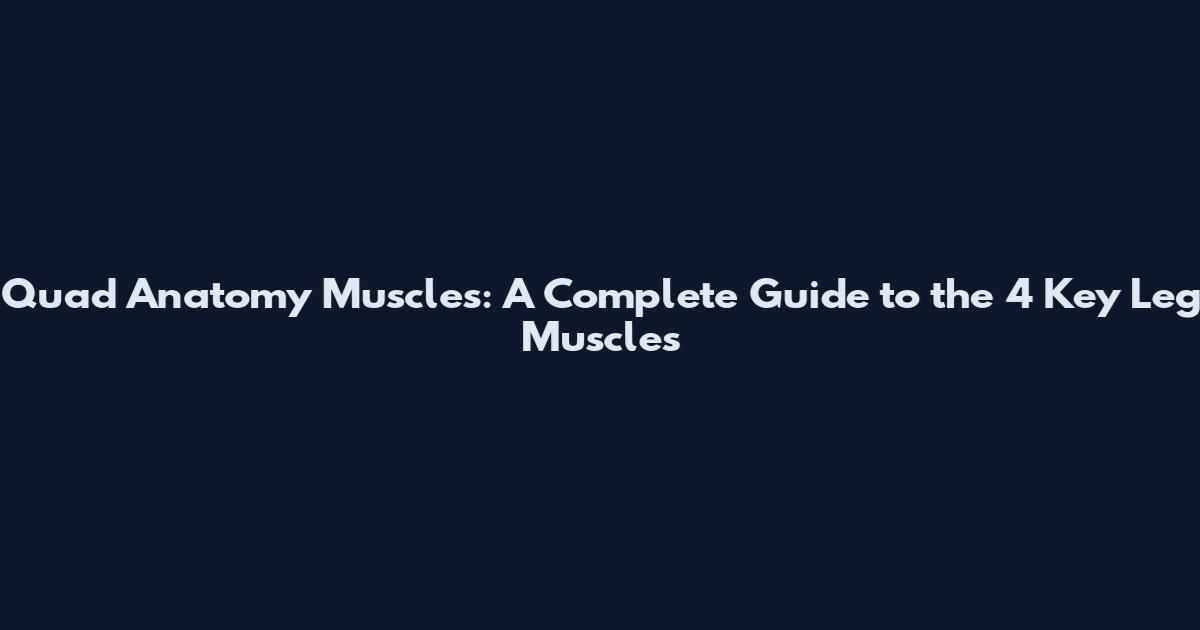 Quad Anatomy Muscles: A Complete Guide to the 4 Key Leg Muscles
