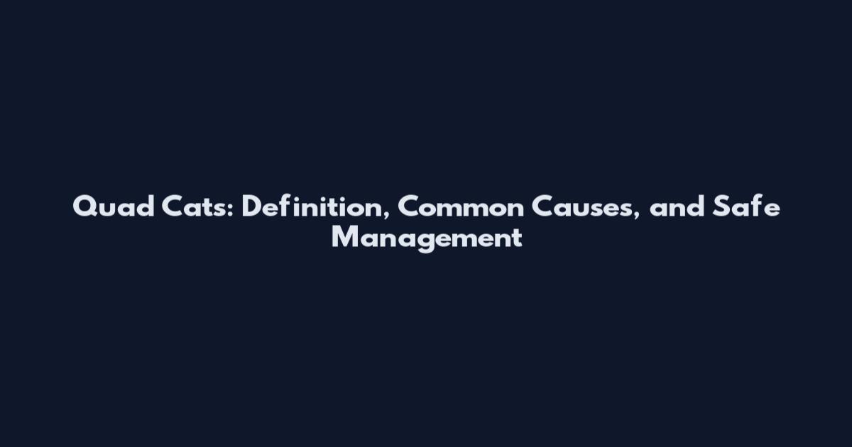 Quad Cats: Definition, Common Causes, and Safe Management