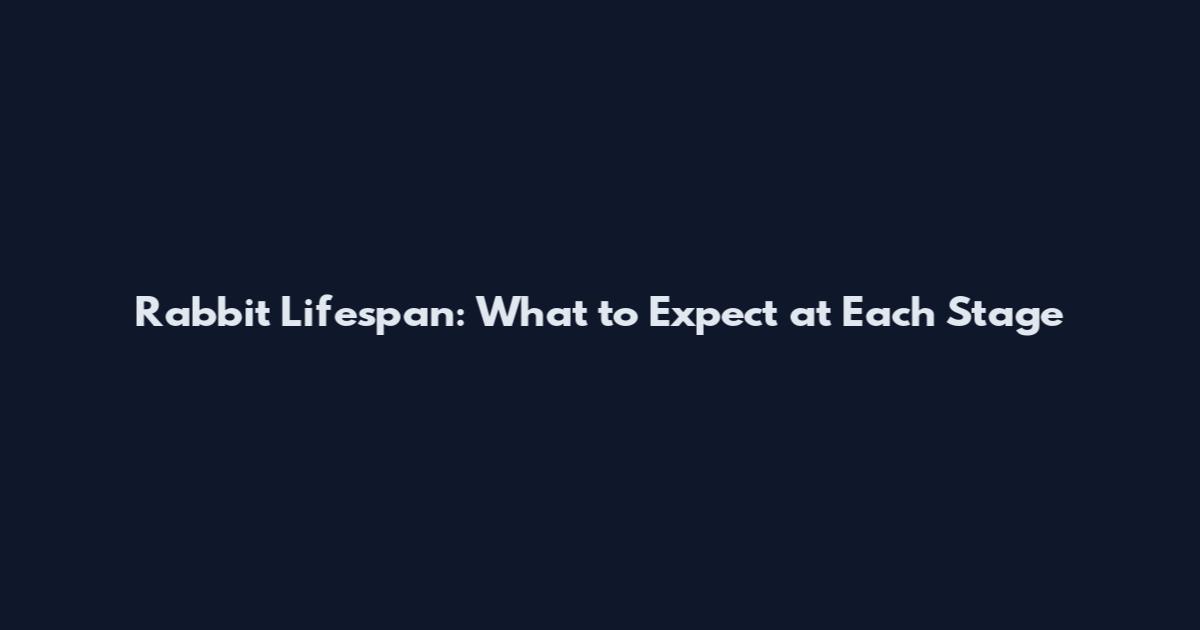 Rabbit Lifespan: What to Expect at Each Stage