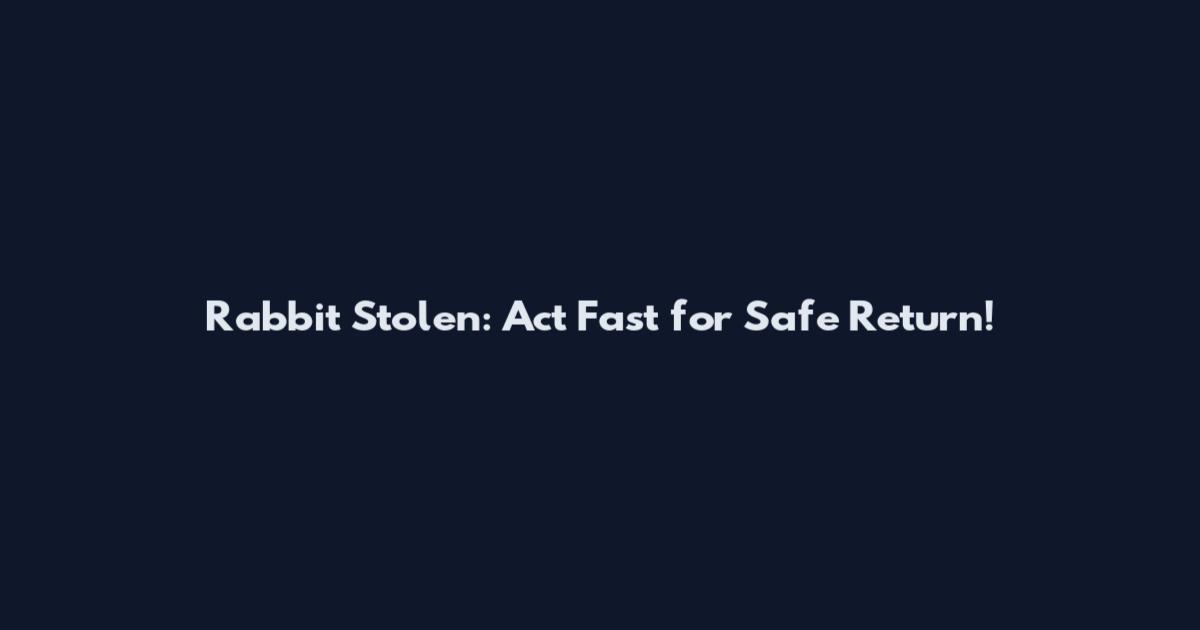 Rabbit Stolen: Act Fast for Safe Return!