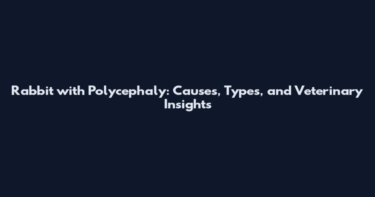 Rabbit with Polycephaly: Causes, Types, and Veterinary Insights
