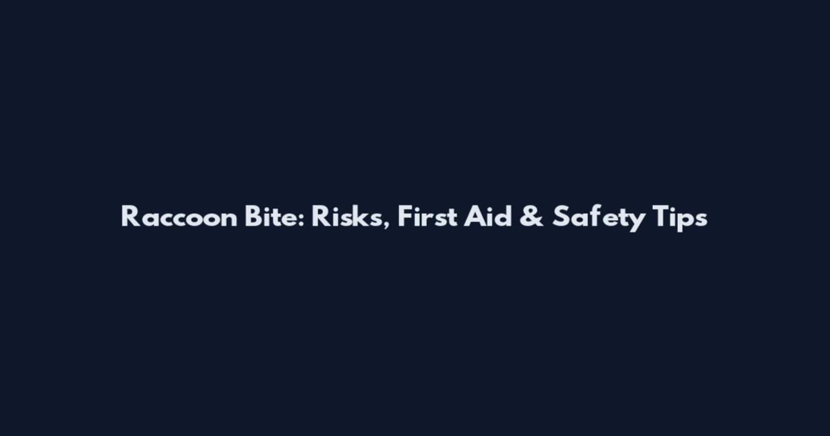 Raccoon Bite: Risks, First Aid & Safety Tips