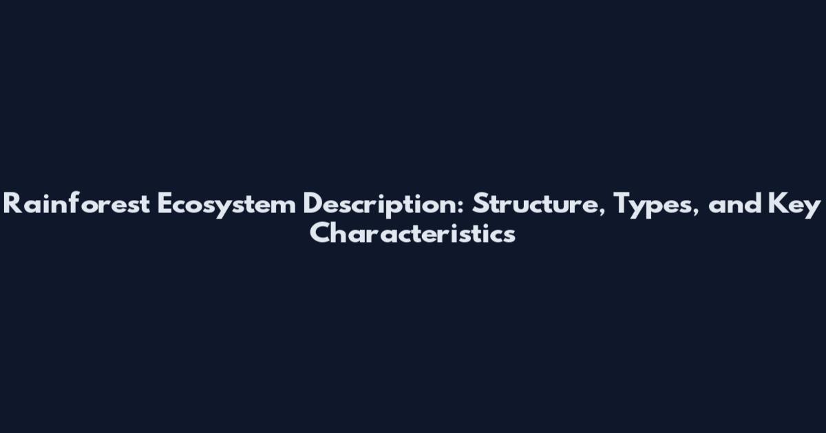 Rainforest Ecosystem Description: Structure, Types, and Key Characteristics