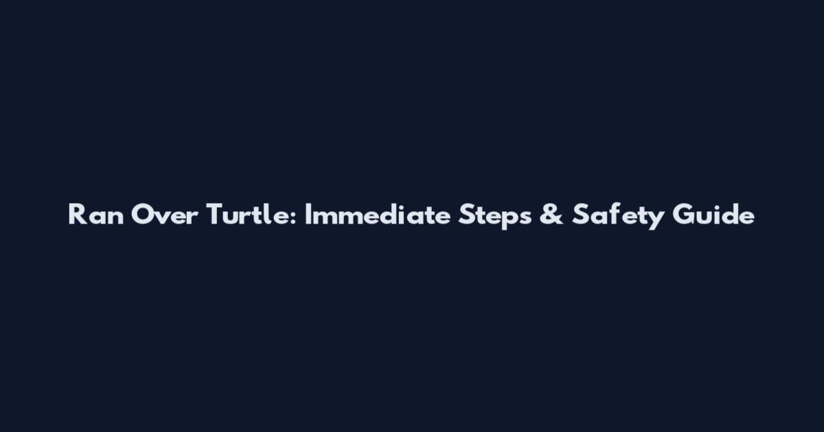 Ran Over Turtle: Immediate Steps & Safety Guide