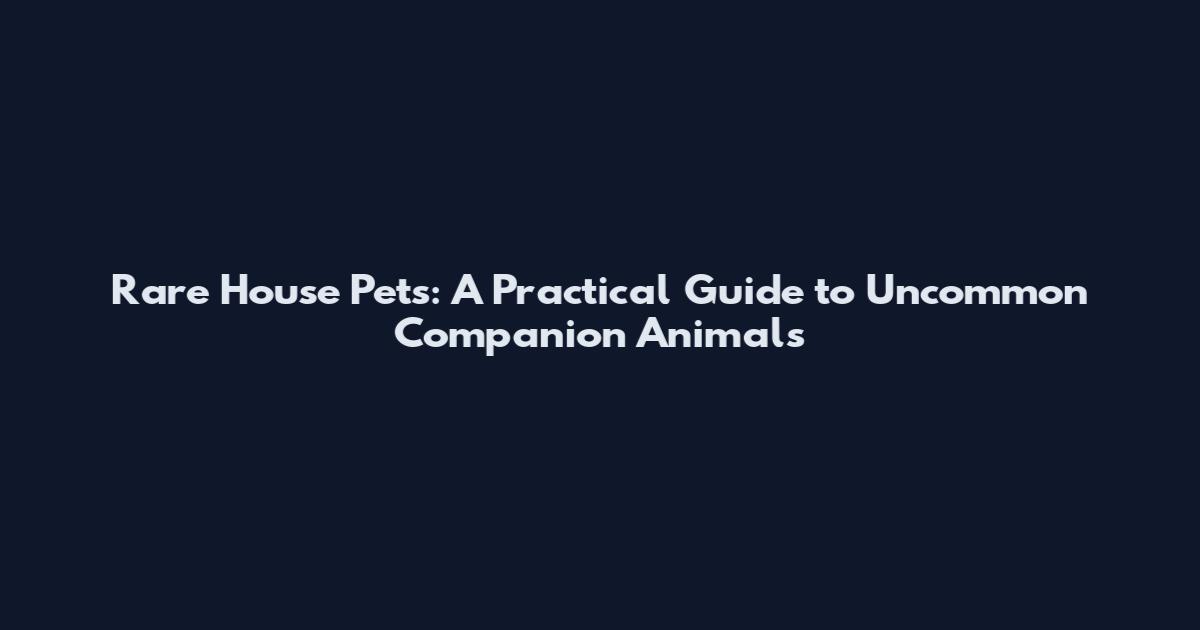 Rare House Pets: A Practical Guide to Uncommon Companion Animals