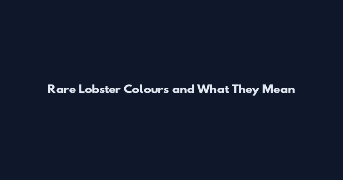Rare Lobster Colours and What They Mean