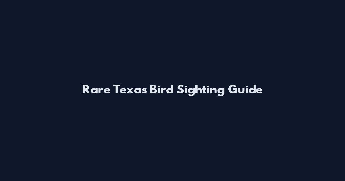 Rare Texas Bird Sighting Guide