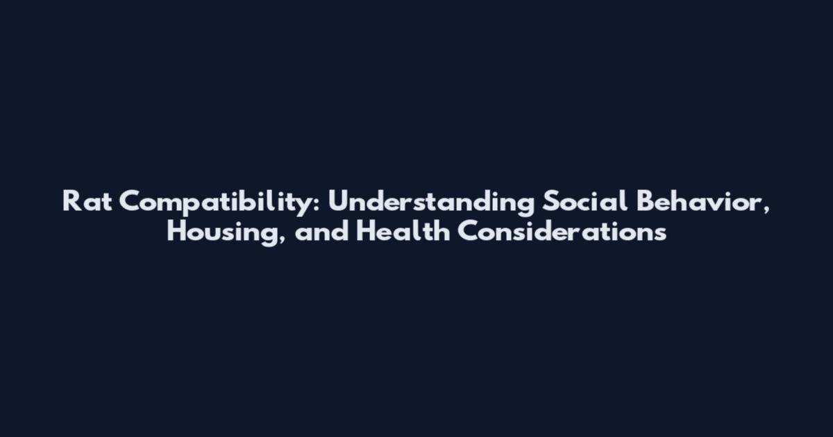 Rat Compatibility: Understanding Social Behavior, Housing, and Health Considerations