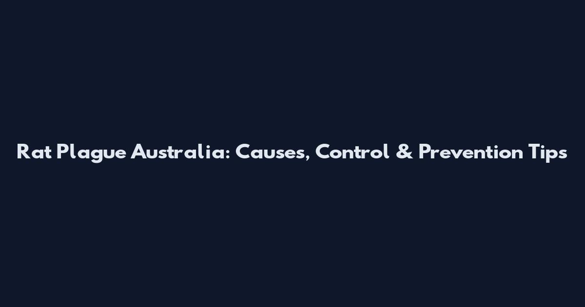Rat Plague Australia: Causes, Control & Prevention Tips