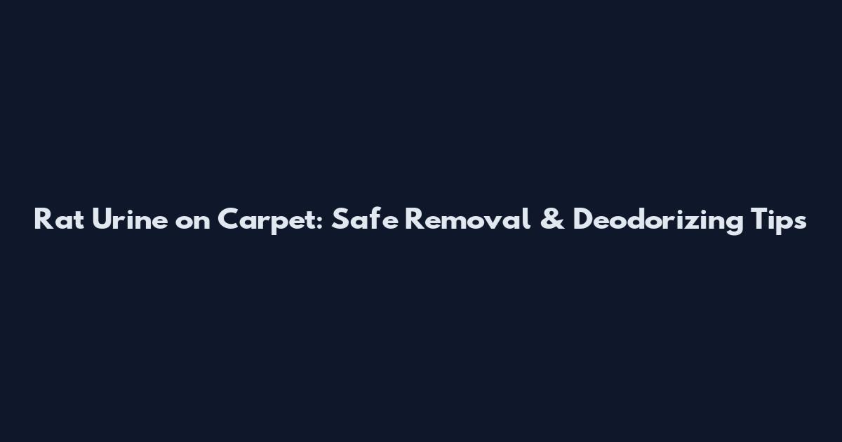 Rat Urine on Carpet: Safe Removal & Deodorizing Tips