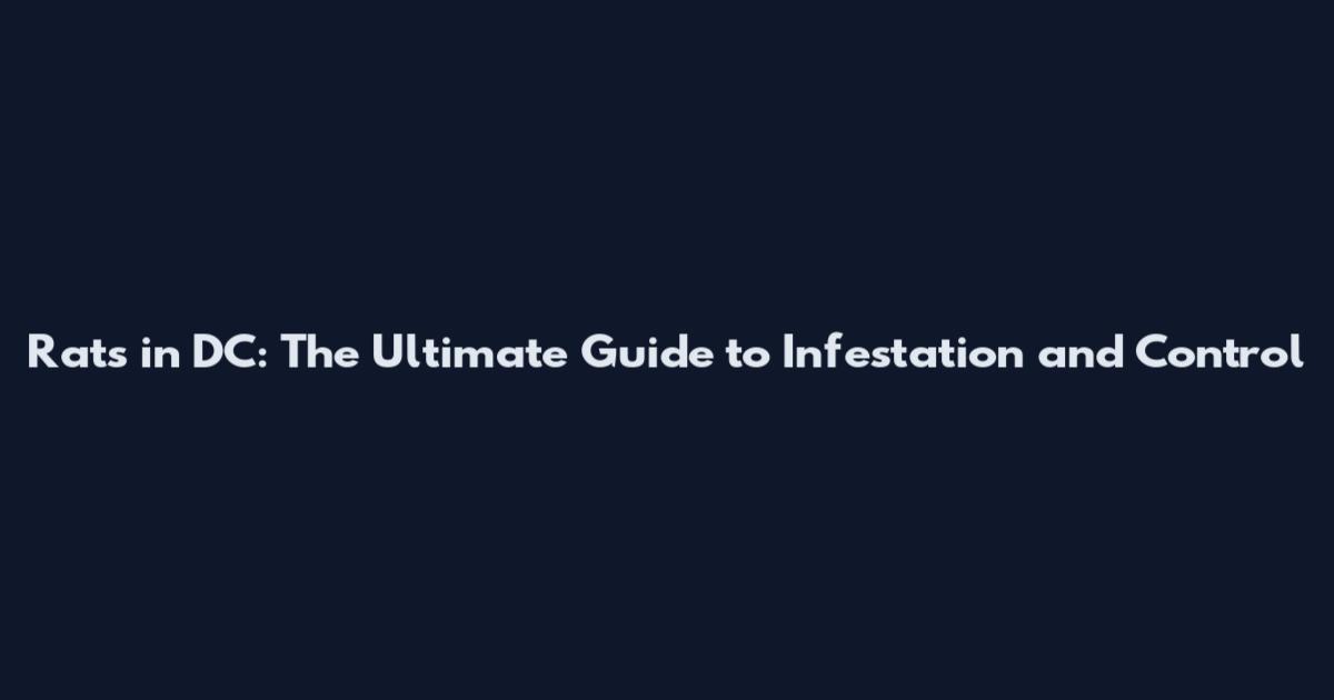 Rats in DC: The Ultimate Guide to Infestation and Control