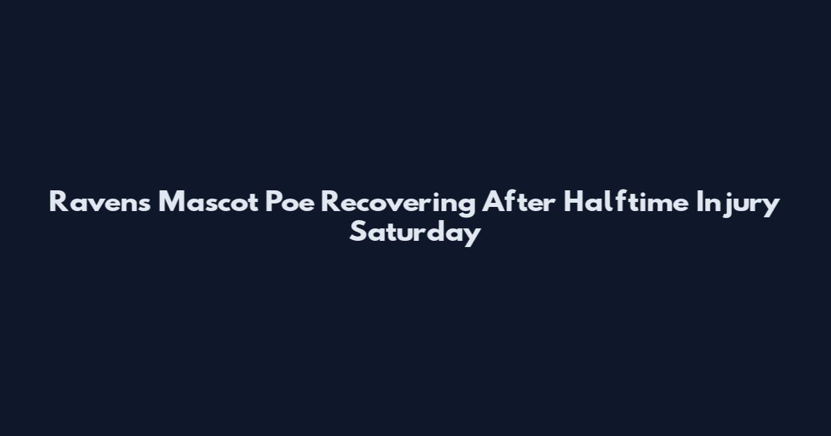 Ravens Mascot Poe Recovering After Halftime Injury Saturday