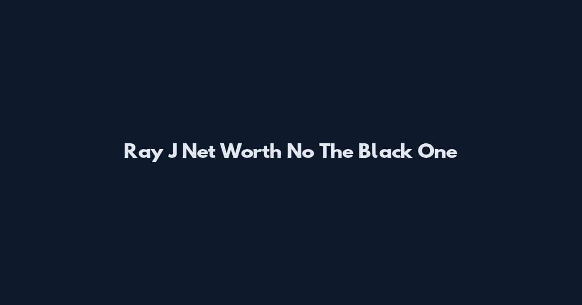 Ray J Net Worth No The Black One