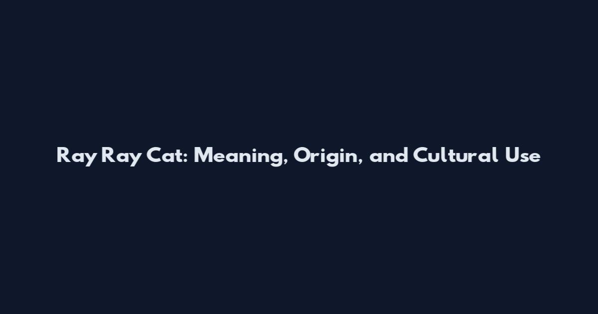 Ray Ray Cat: Meaning, Origin, and Cultural Use