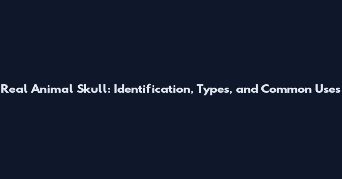 Real Animal Skull: Identification, Types, and Common Uses