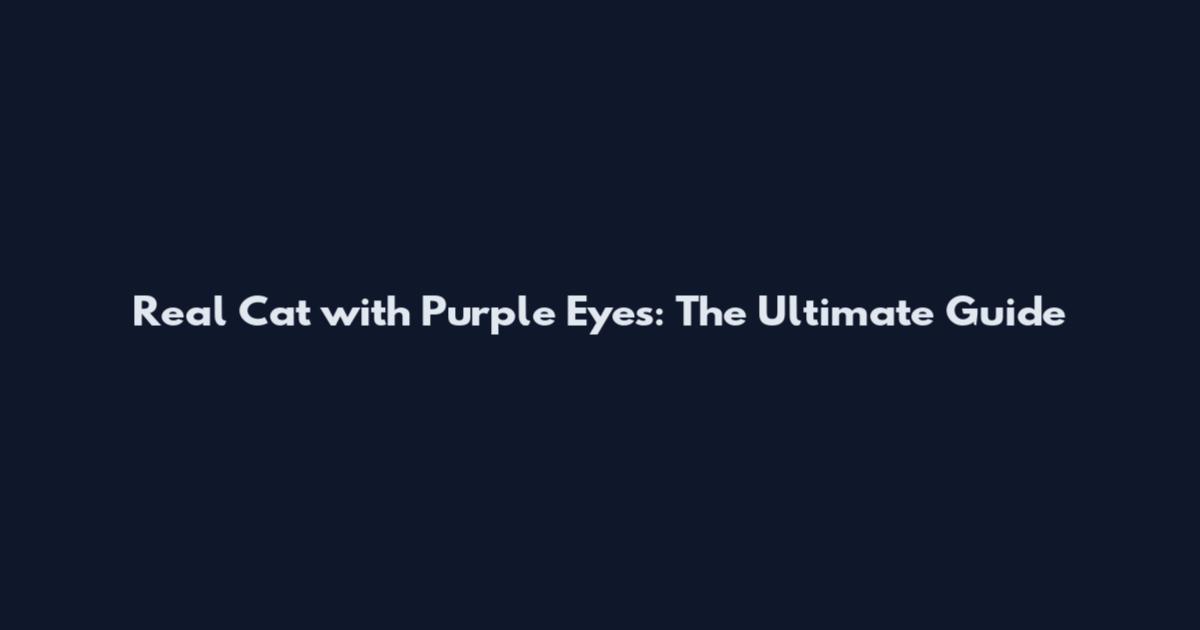 Real Cat with Purple Eyes: The Ultimate Guide