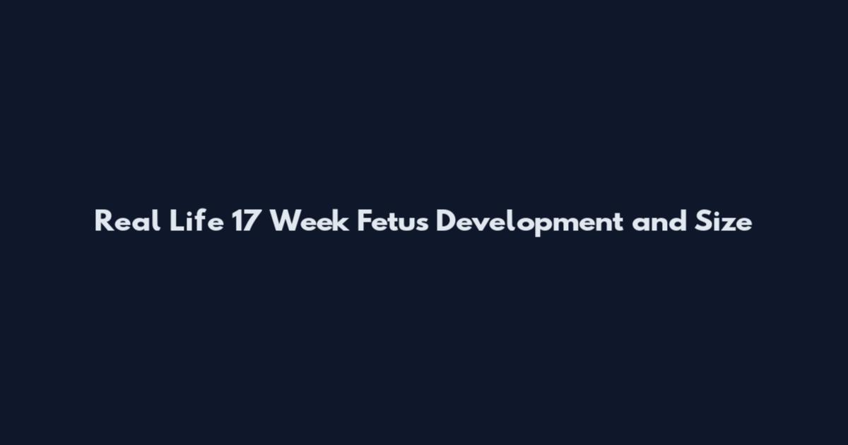 Real Life 17 Week Fetus Development and Size