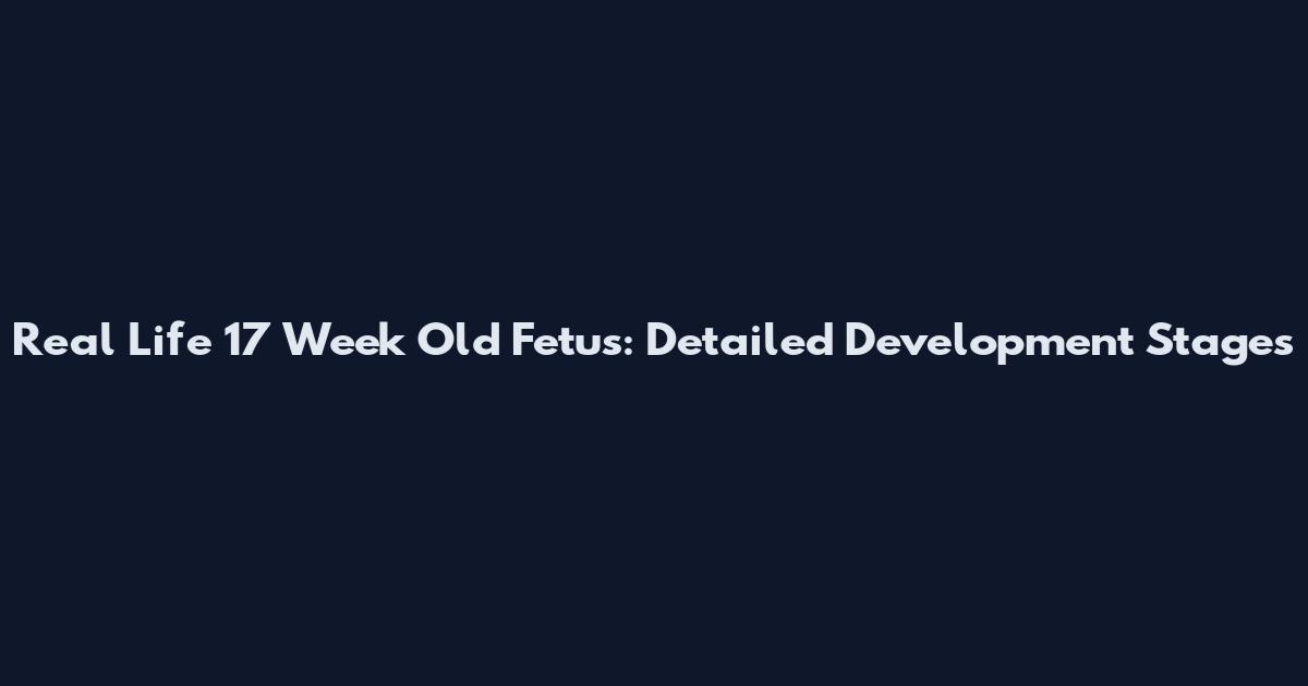 Real Life 17 Week Old Fetus: Detailed Development Stages