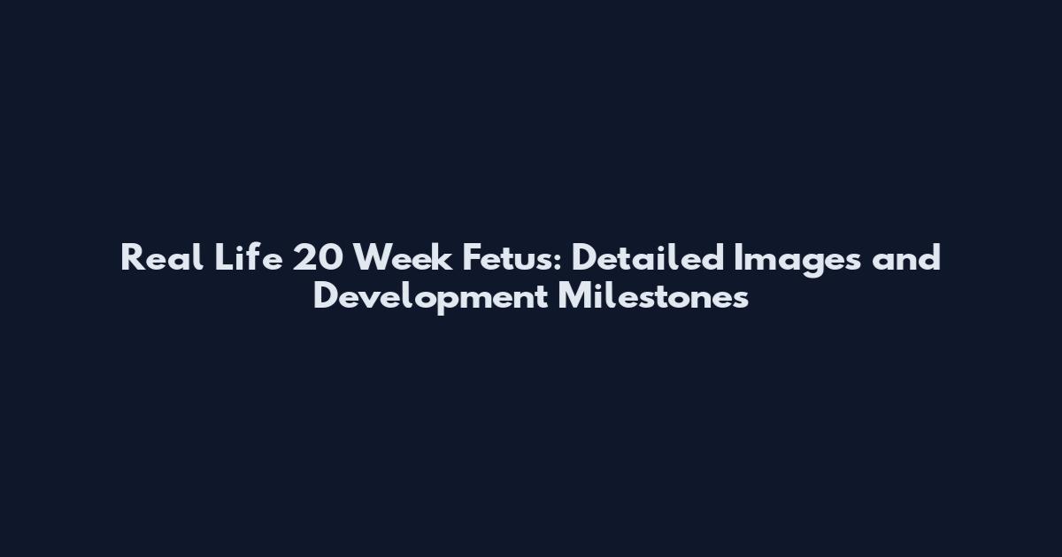 Real Life 20 Week Fetus: Detailed Images and Development Milestones