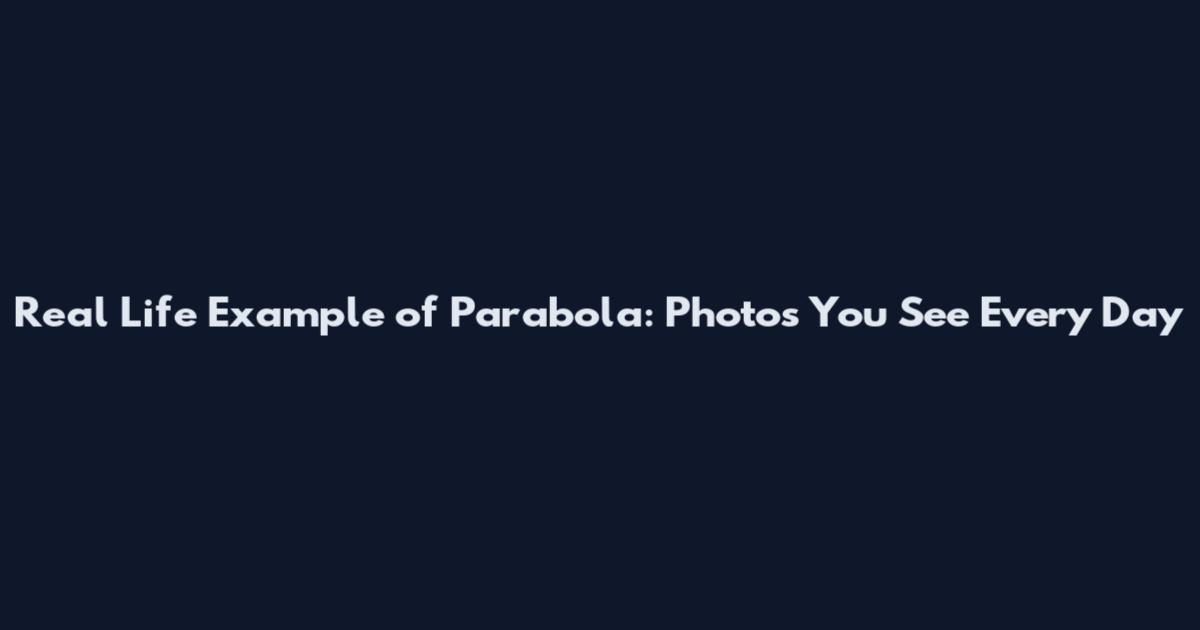 Real Life Example of Parabola: Photos You See Every Day