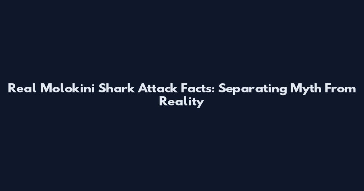 Real Molokini Shark Attack Facts: Separating Myth From Reality