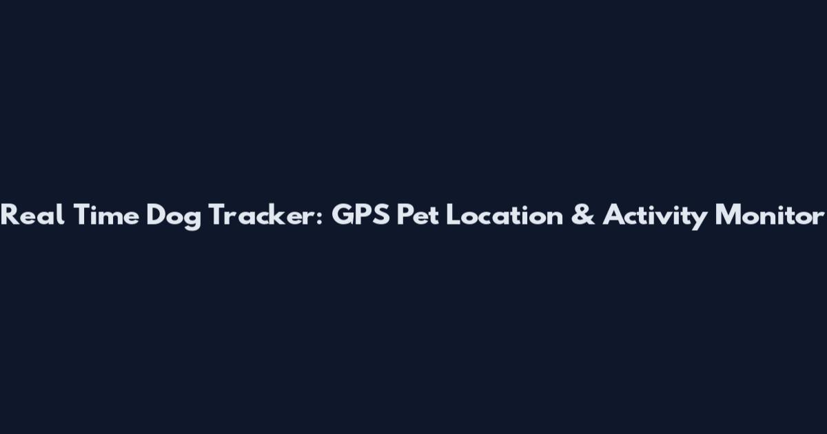 Real Time Dog Tracker: GPS Pet Location & Activity Monitor