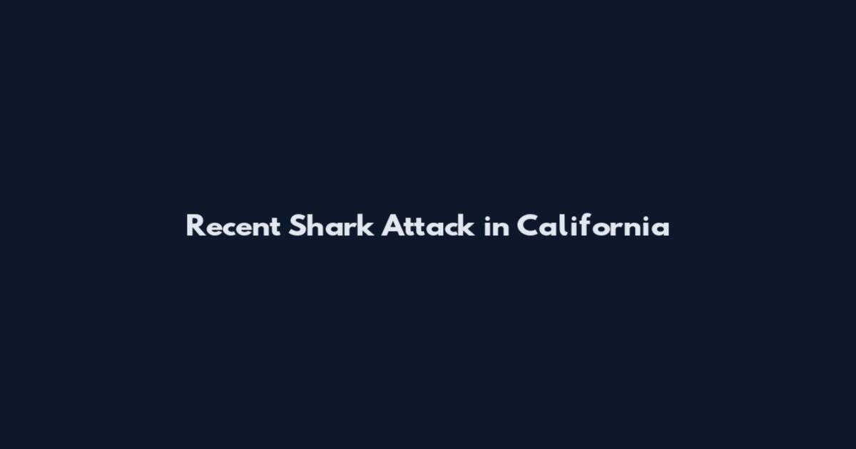 Recent Shark Attack in California