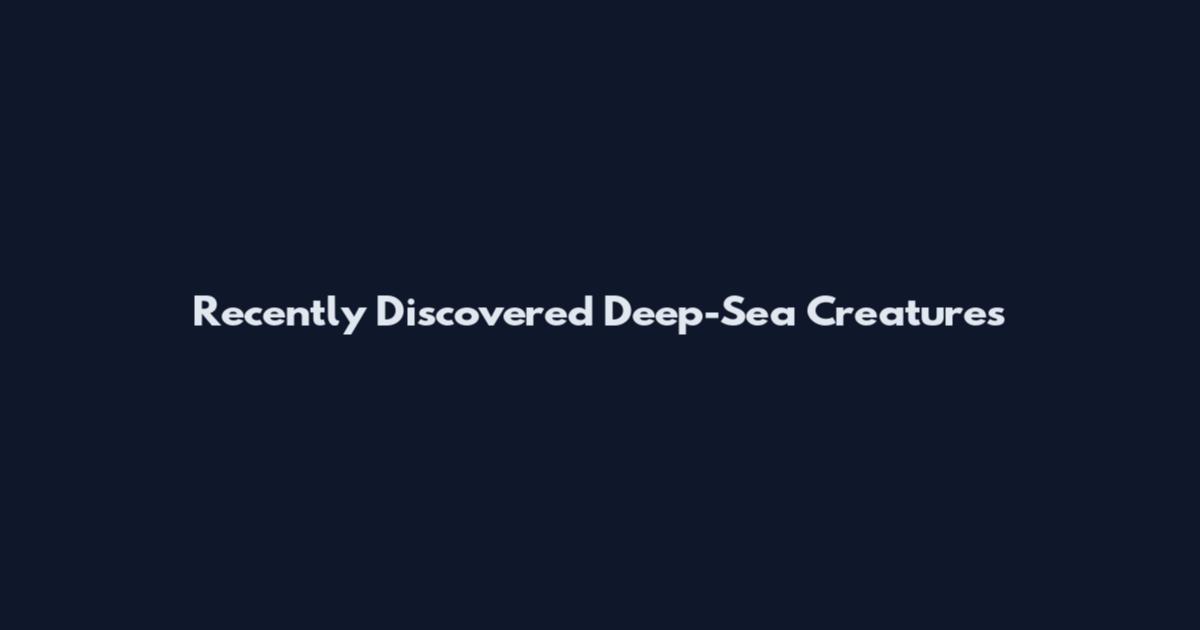 Recently Discovered Deep-Sea Creatures