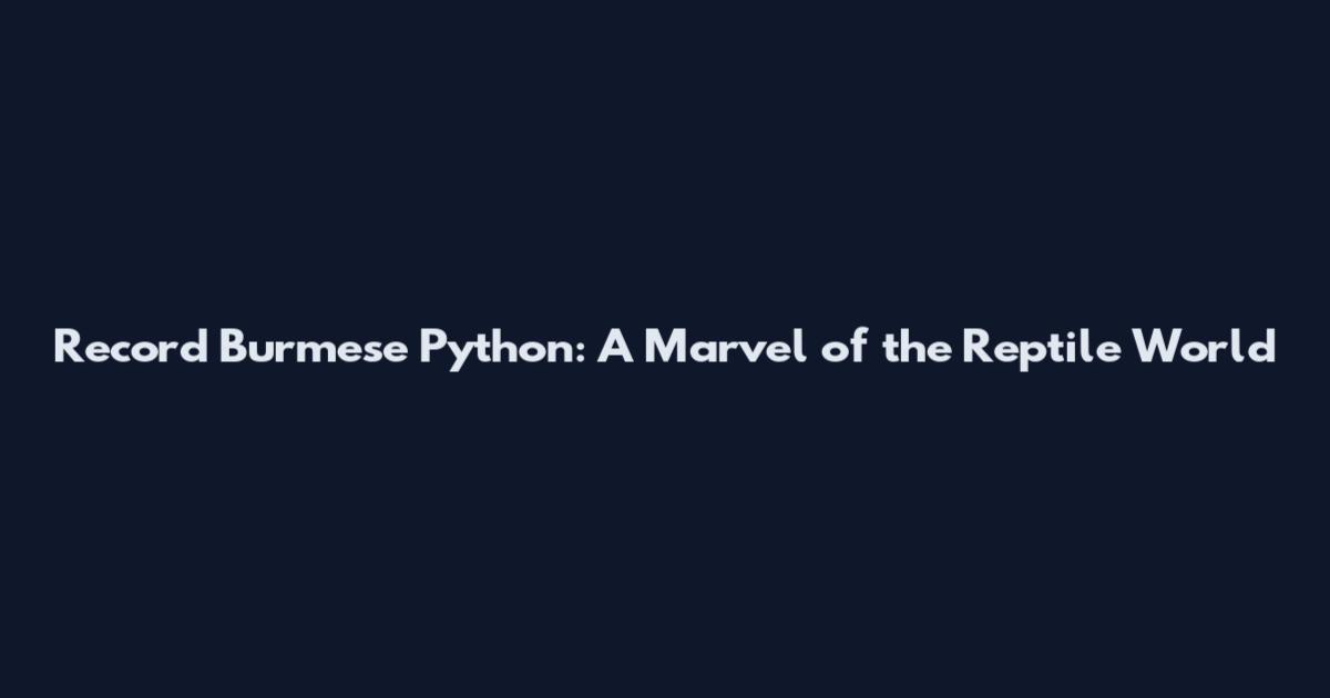 Record Burmese Python: A Marvel of the Reptile World