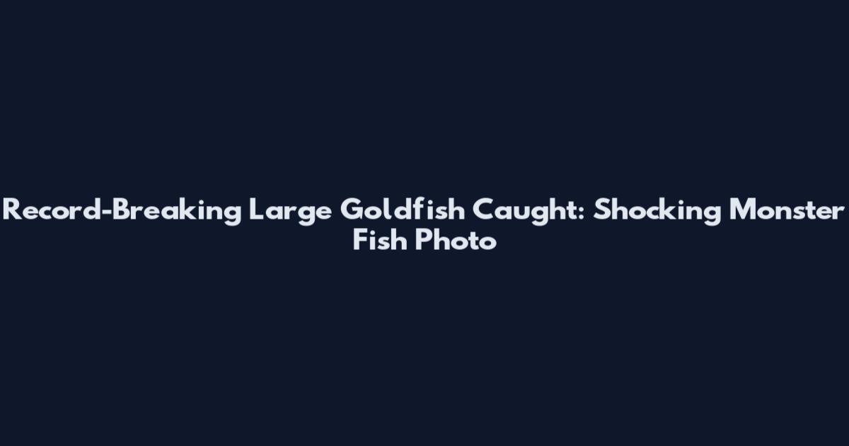 Record-Breaking Large Goldfish Caught: Shocking Monster Fish Photo