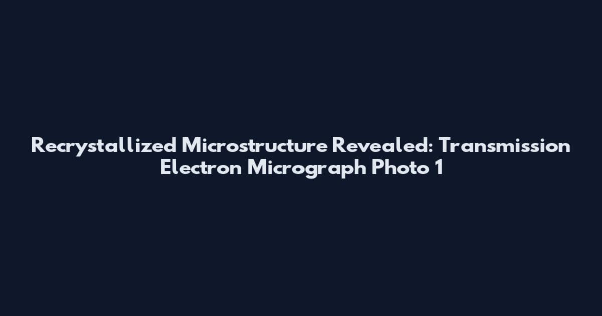 Recrystallized Microstructure Revealed: Transmission Electron Micrograph Photo 1