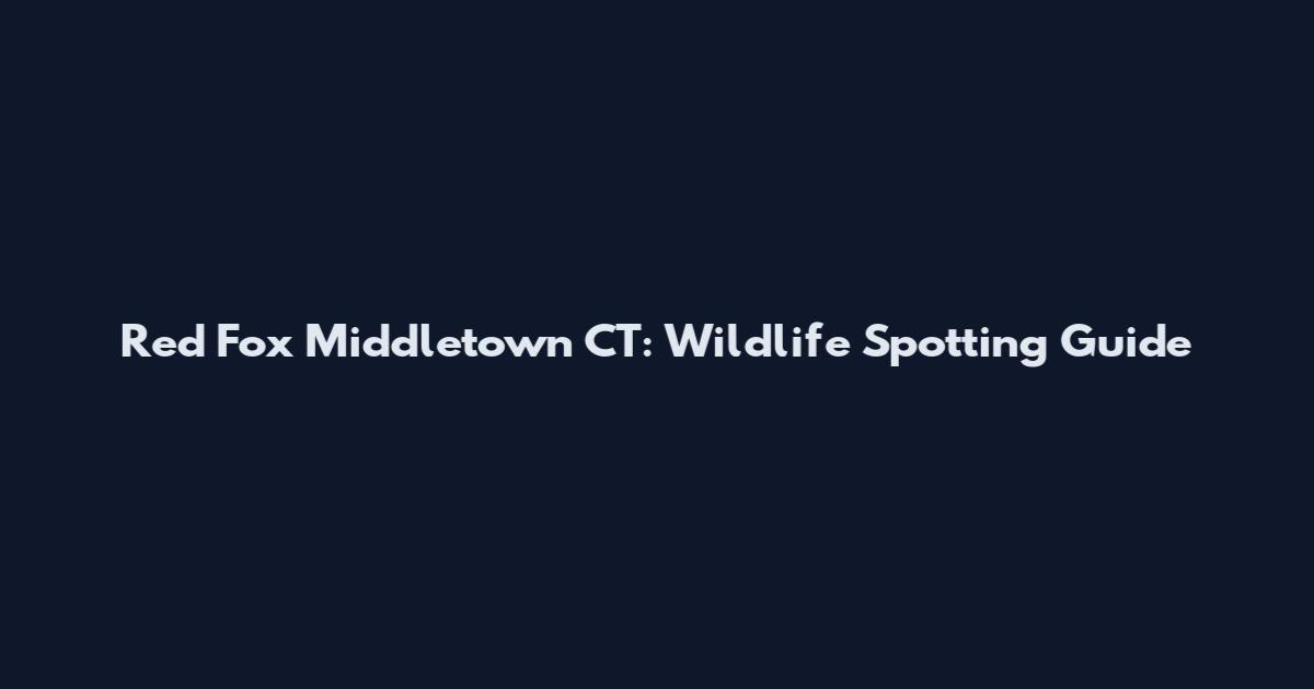 Red Fox Middletown CT: Wildlife Spotting Guide
