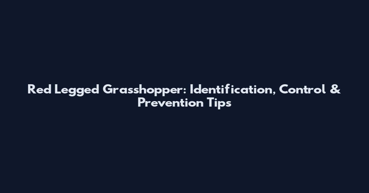 Red Legged Grasshopper: Identification, Control & Prevention Tips