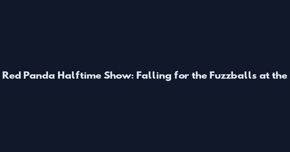 Red Panda Halftime Show: Falling for the Fuzzballs at the