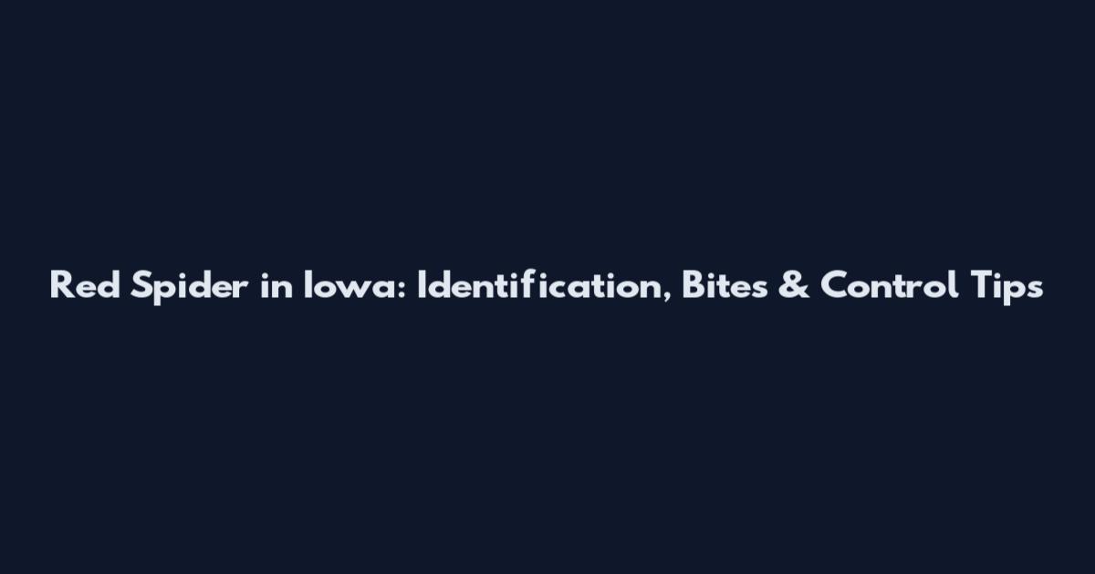 Red Spider in Iowa: Identification, Bites & Control Tips