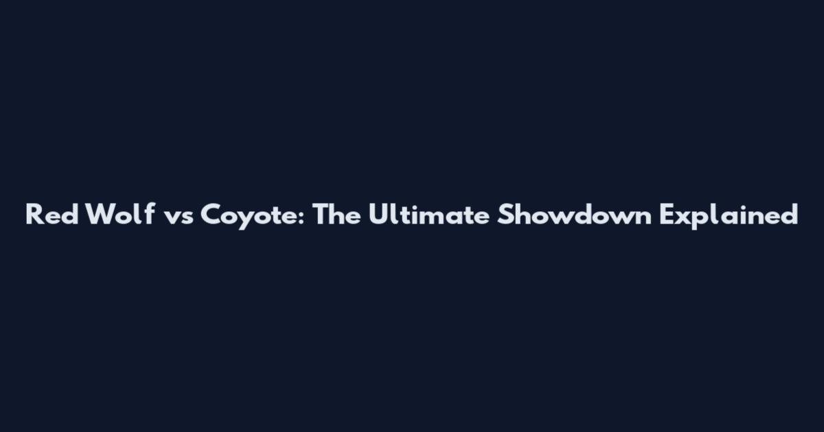 Red Wolf vs Coyote: The Ultimate Showdown Explained