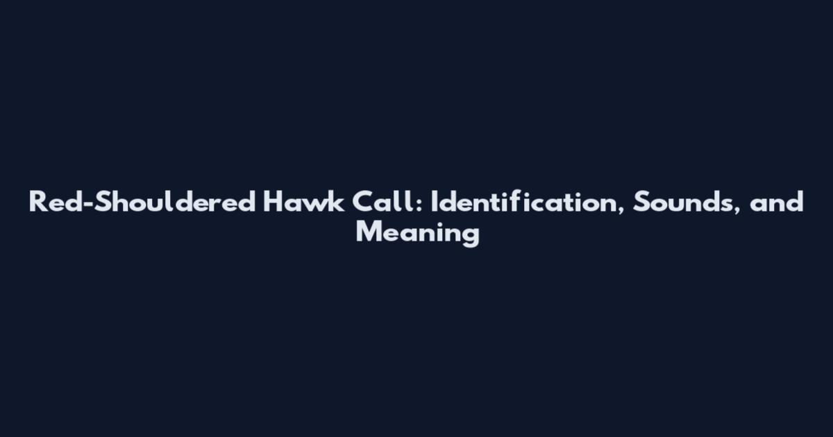 Red-Shouldered Hawk Call: Identification, Sounds, and Meaning